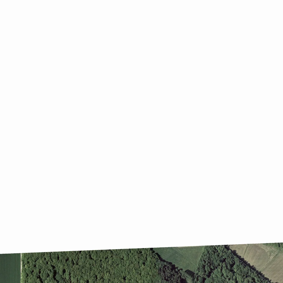 Bayerische Vermessungsverwaltung Dop 604000 5586000 (2005)