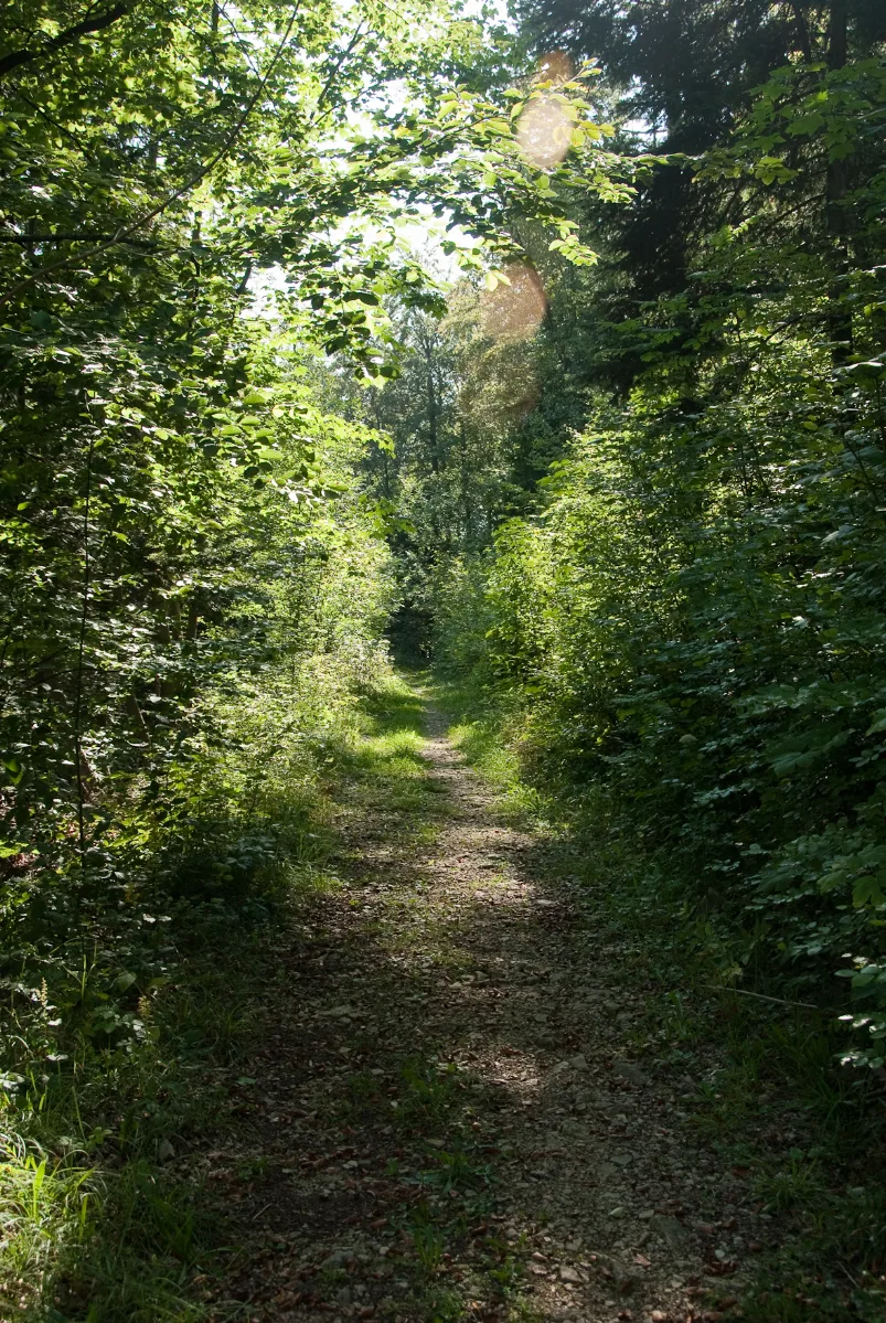 Bei "Chleini Weid" Panoramio