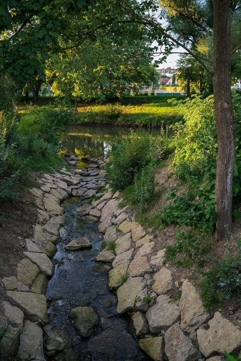 Beibach Zufluss In Die Rems