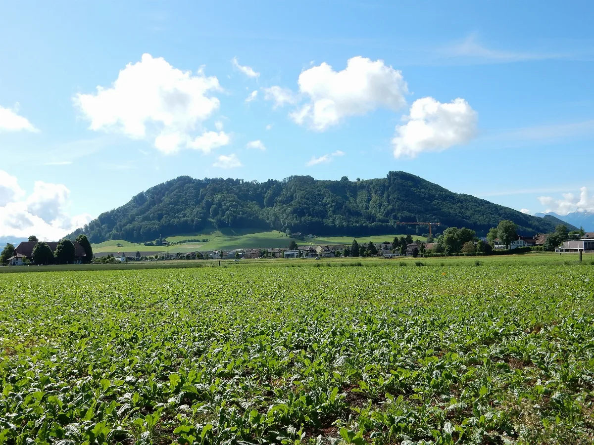 Belpberg Von Norden Gesehen