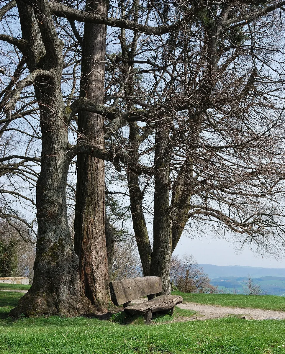Berg Hohenstaufen