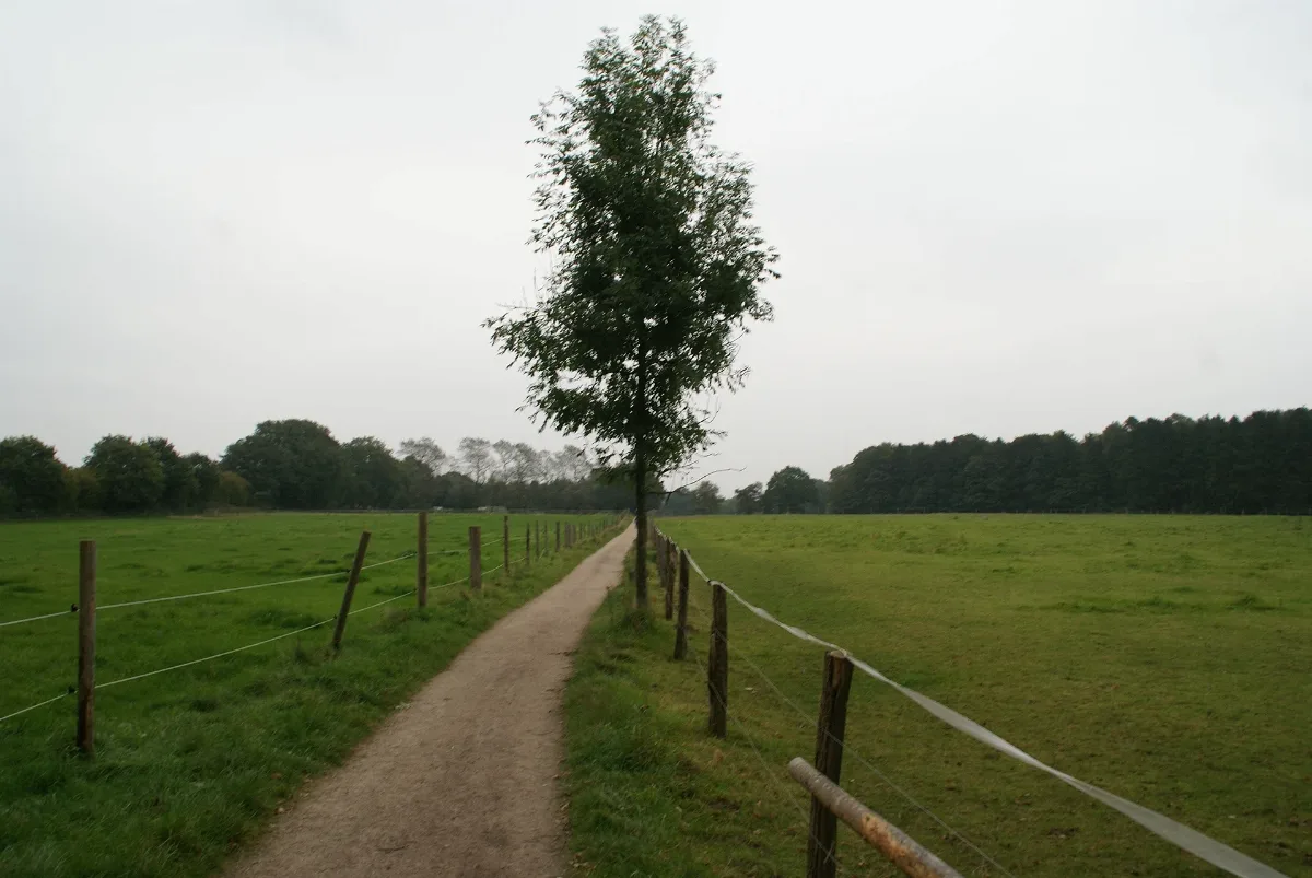 Bergstedt Furtstieg