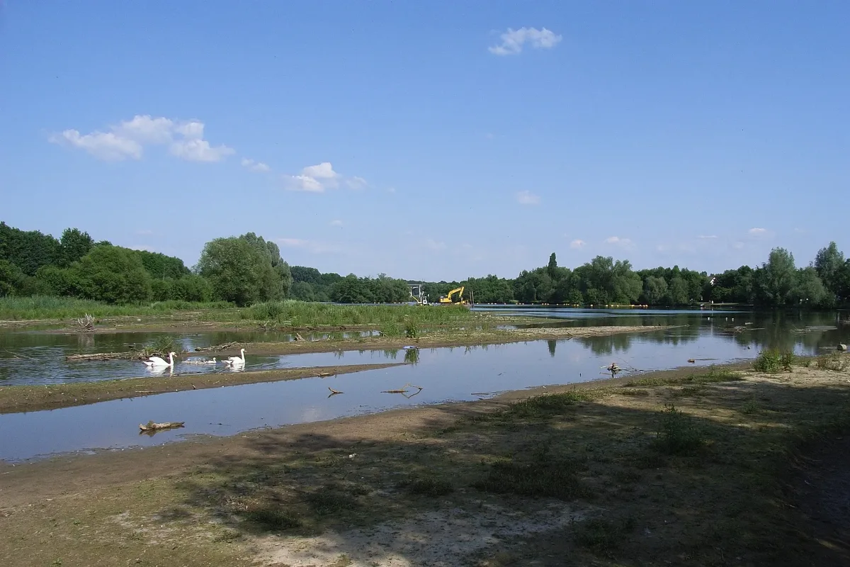 Bielefeld Obersee Bagger 1