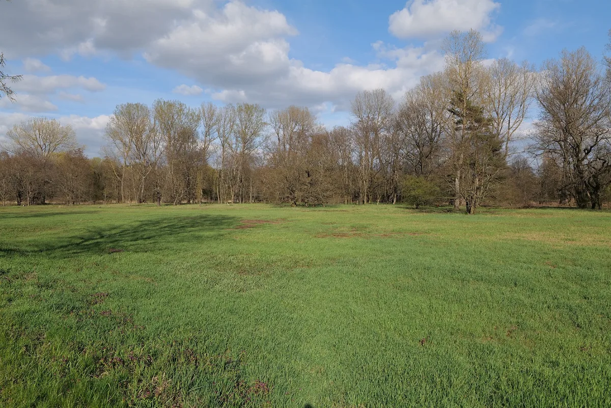 Biotopverbund Spreeaue 2021 04 24 02