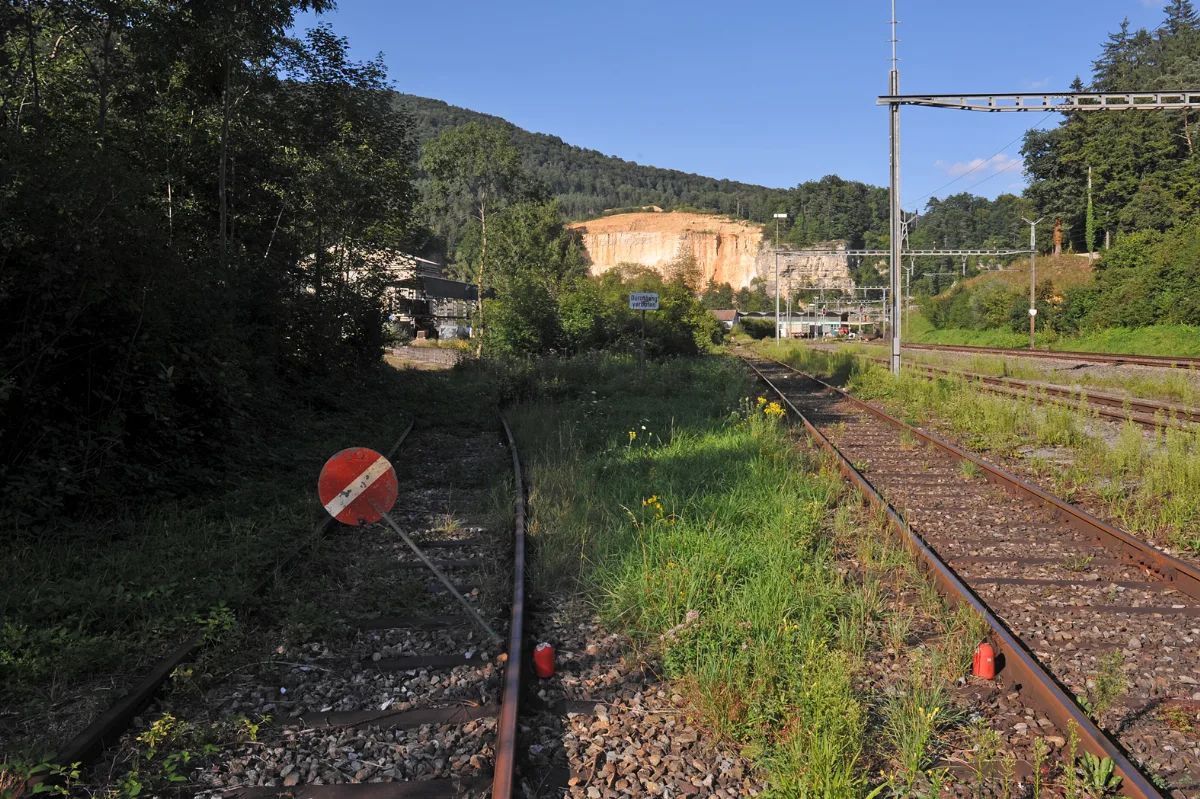Birsbruecke Bei Liesberg 06 10