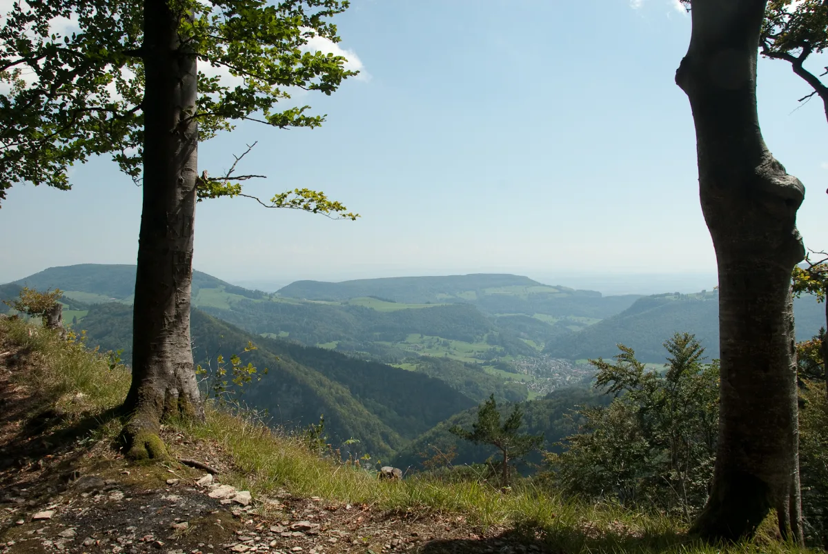 Blick Nach Südsüdost Panoramio