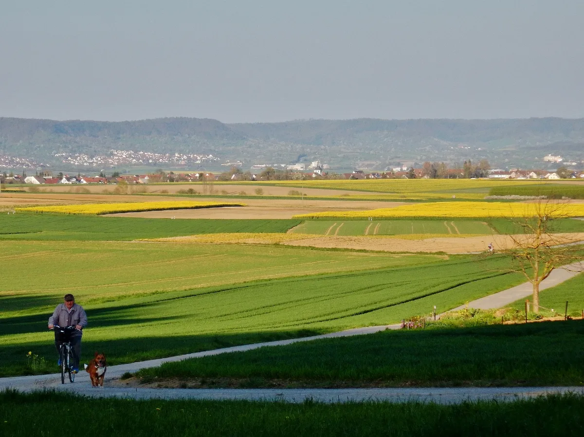 Blick Richtung Schönbuchrand Panoramio