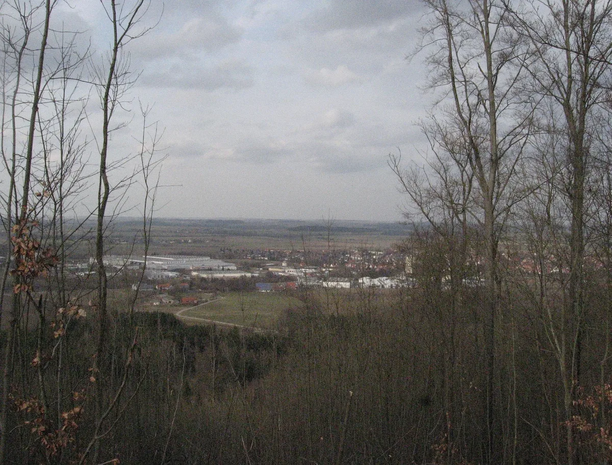 Blick Vom Hehlberg Auf Sulzdorf