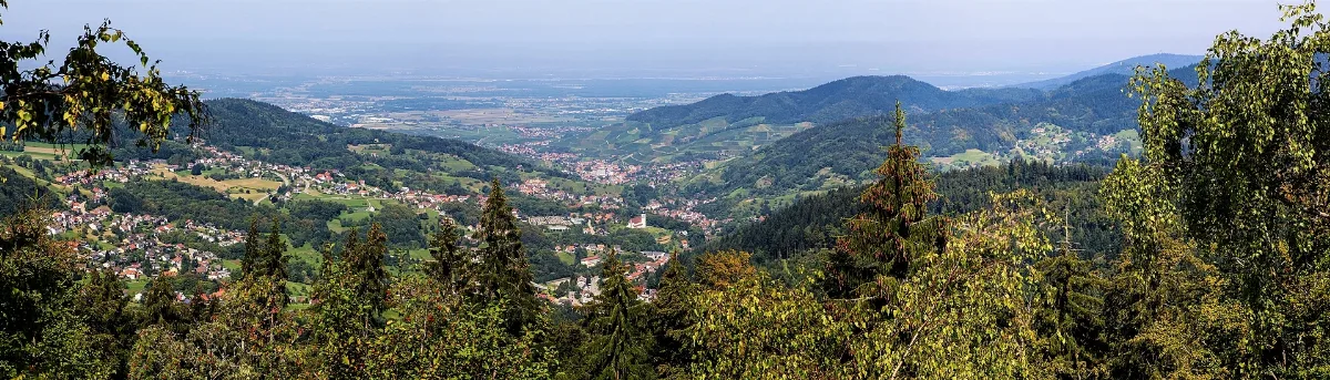 Blick Vom Sickenwalder Horn Auf Bühlertal