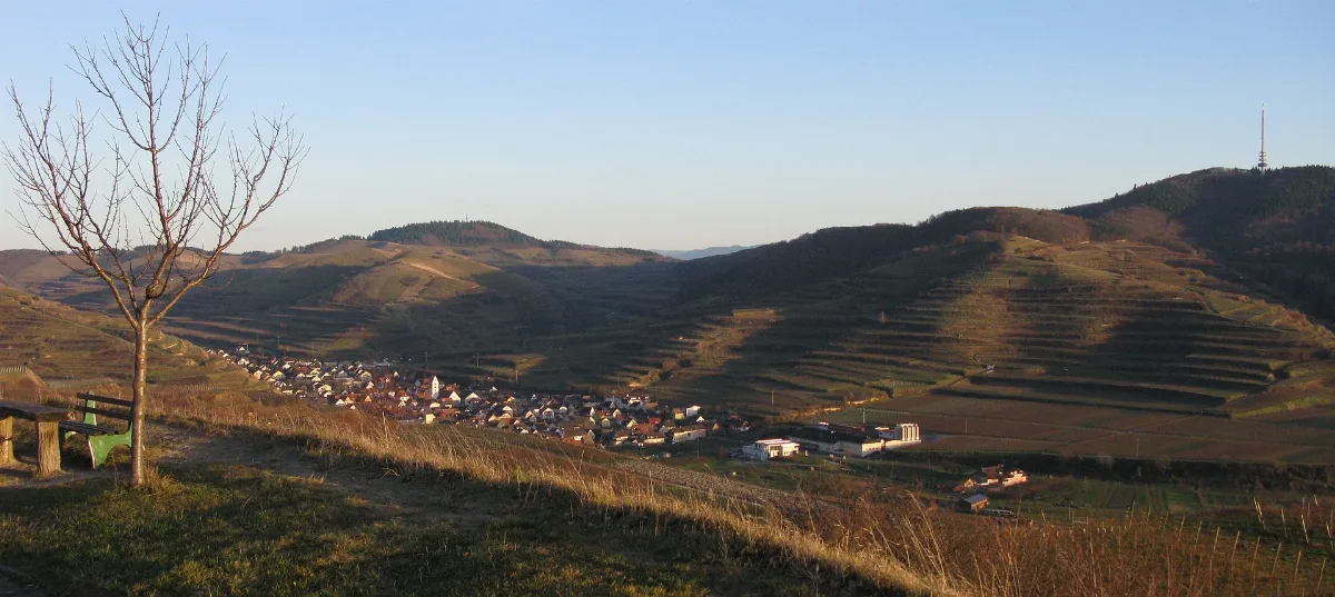 Blick Von Der Mondhalde Auf Oberbergen Im Kaiserstuhl