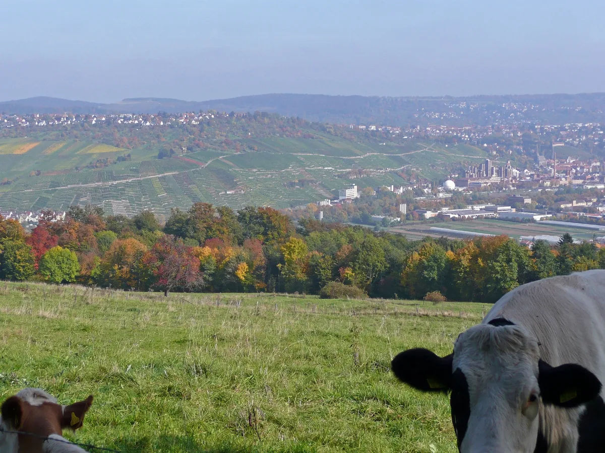 Blick Von Ostfildern Nach Esslingen Panoramio