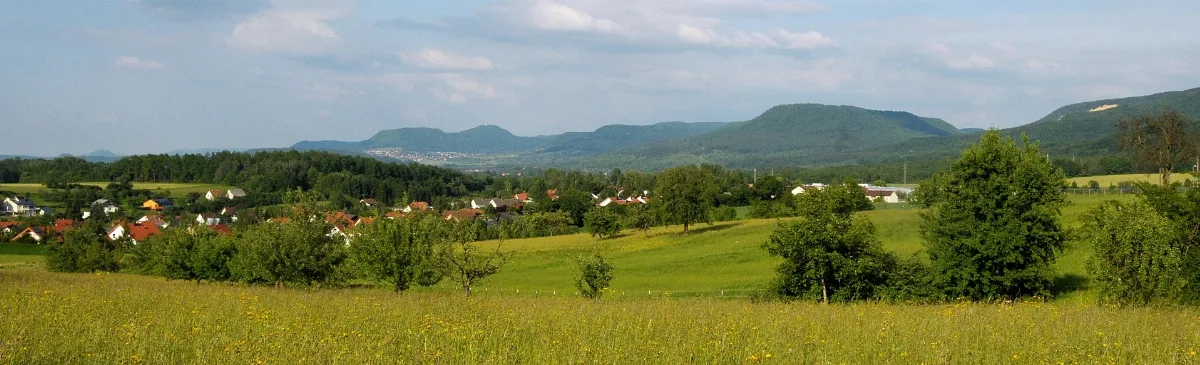 Bodelshausen Von Sickingen 02
