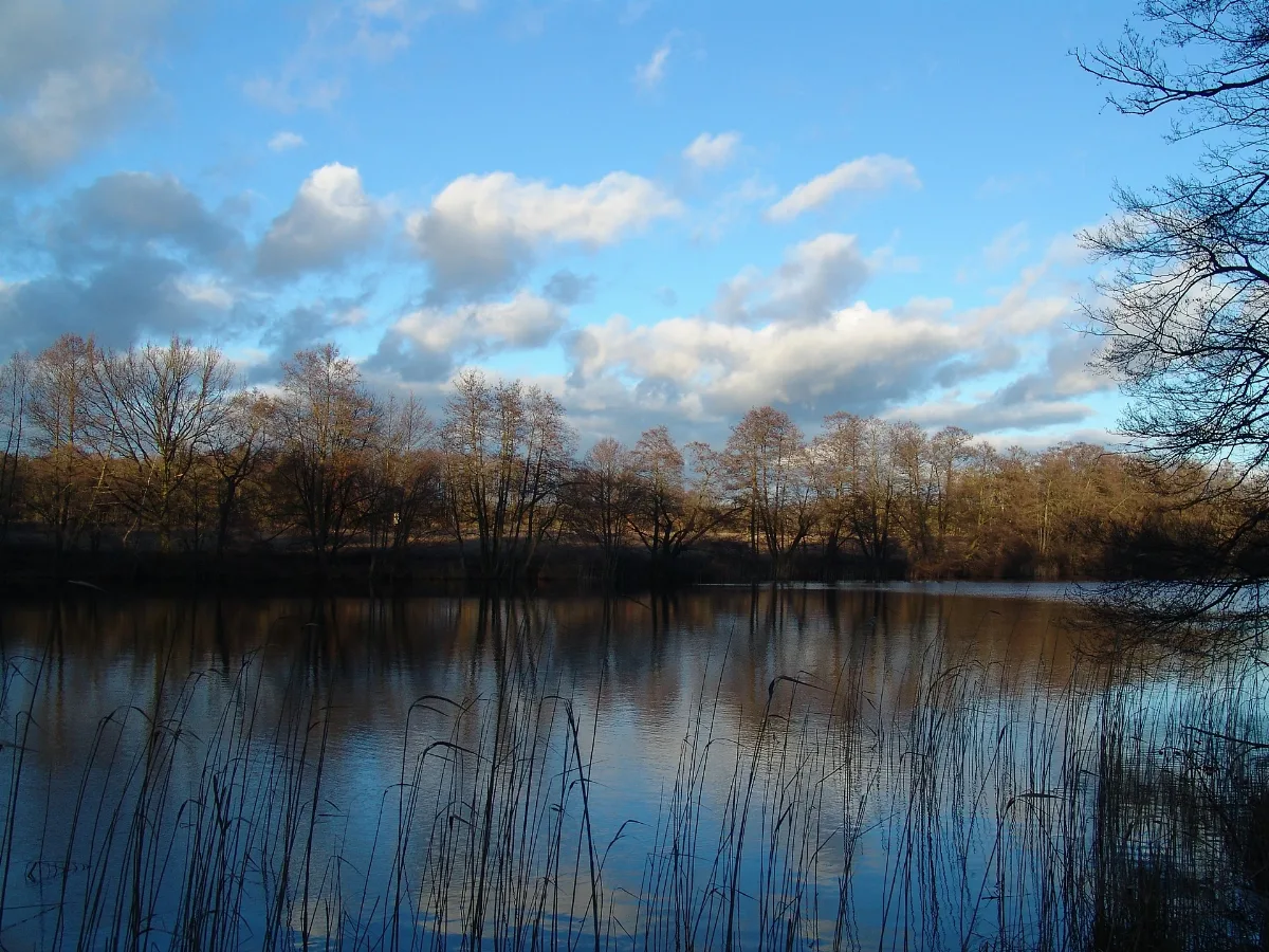 Böhmerheide Wintersonne Auf Dem Nordufer