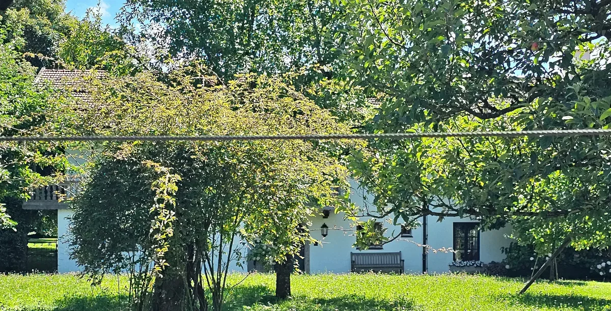 Bogenberg (2)