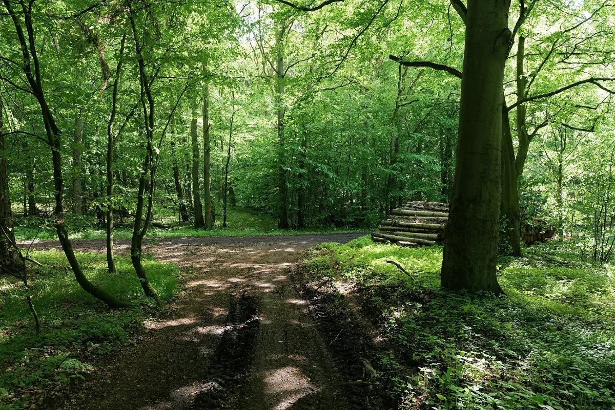 Boitzenburger Tiergarten Und Strom 2021 05 29 11
