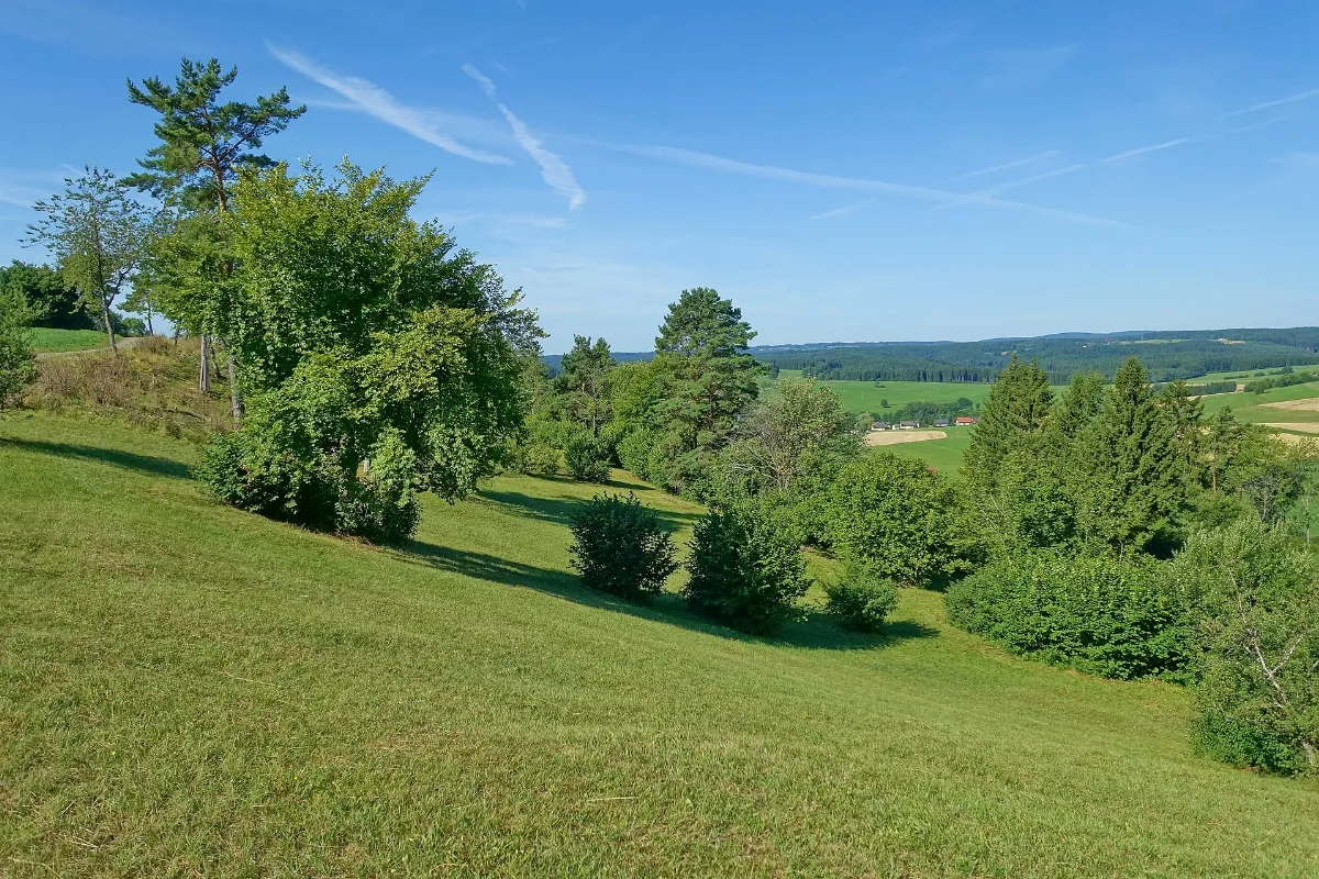 Bonndorf Im Schwarzwald Wellendingen Naturschutzgebiet Steppenheide Hardt Bild 4
