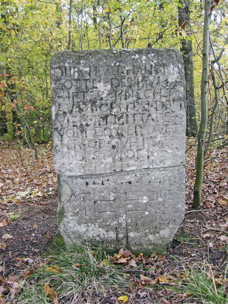 Bornum Schaeferstein