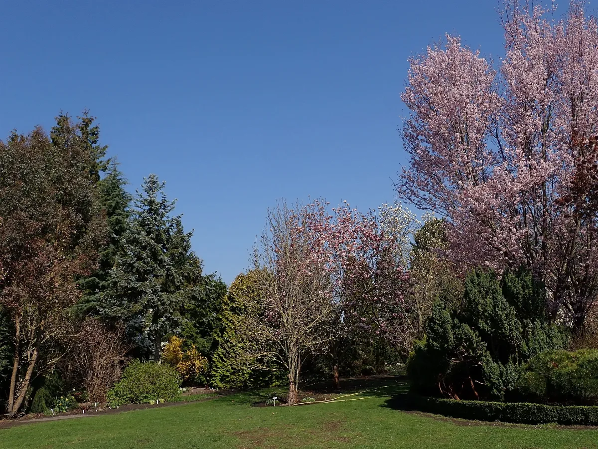 Botanischer Garten Christiansberg 2022 04 23 7163