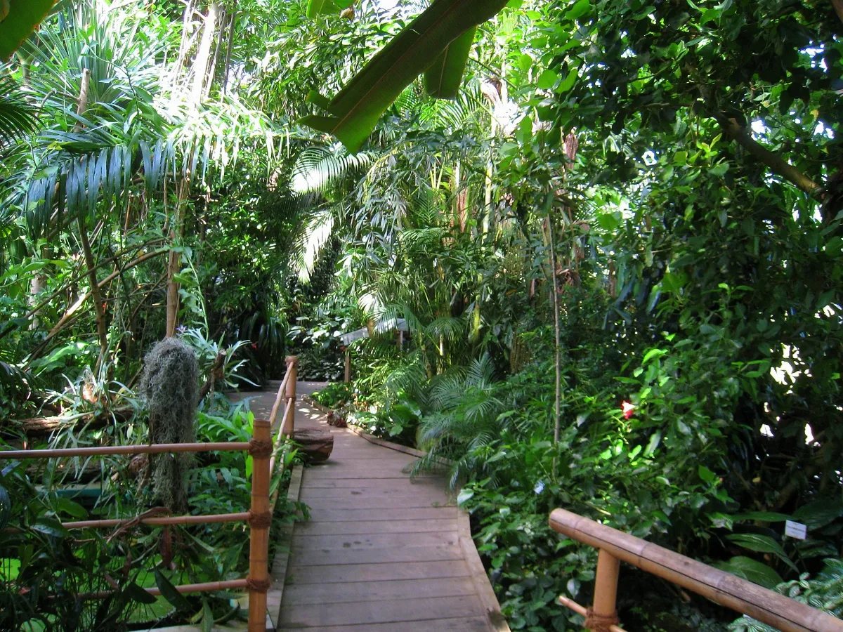 Botanischer Garten Der Universität Würzburg Img 6886
