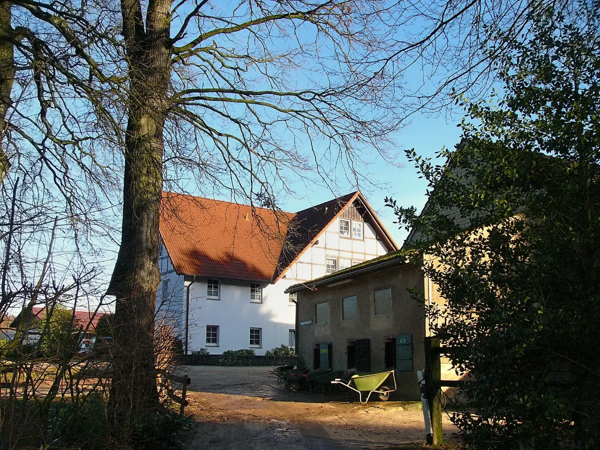 Brandsheide06