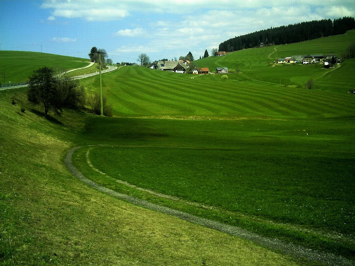 Breitnau Hochschwarzwald Panoramio (43)
