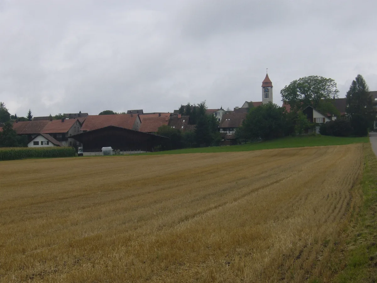 Brütteniii