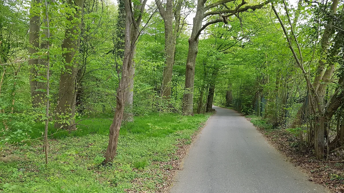 Bürgerbusch1