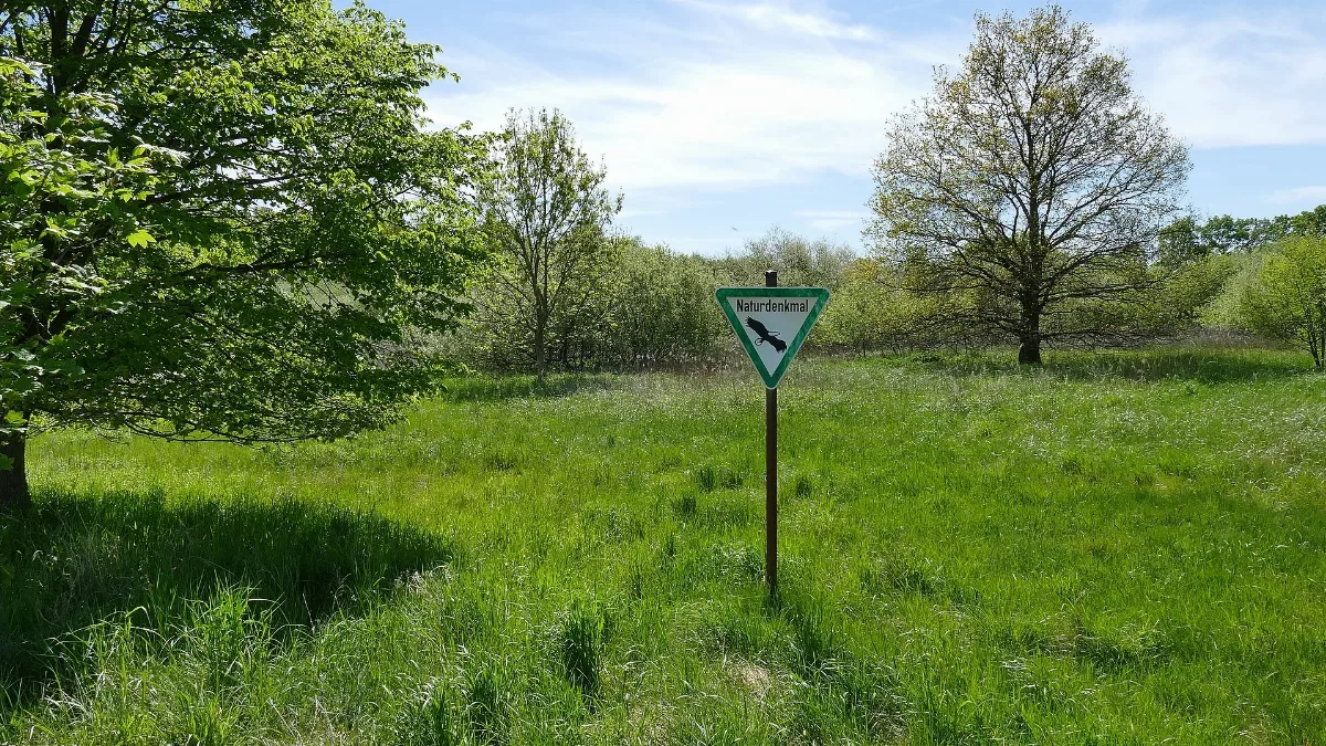 Bullenmoor (Nd H 079) 01