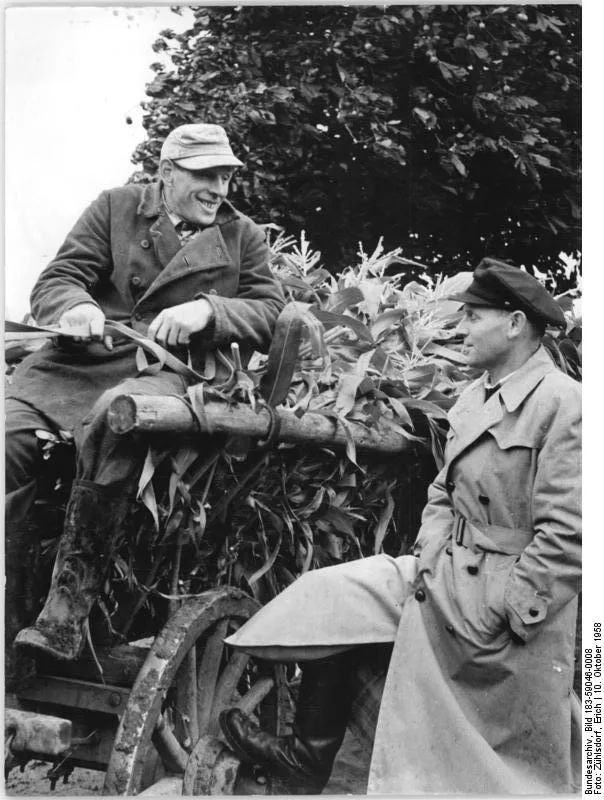 Bundesarchiv Bild 183 59046 0008, Zurow, Maisernte, Bauern Im Gespräch