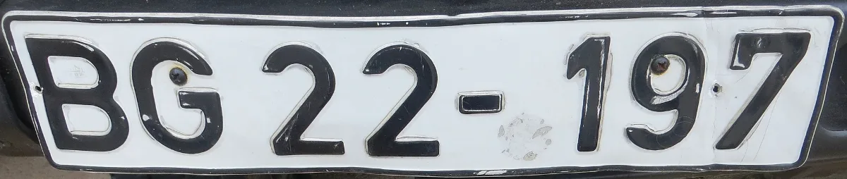 Bundesgrenzschutz License Plate