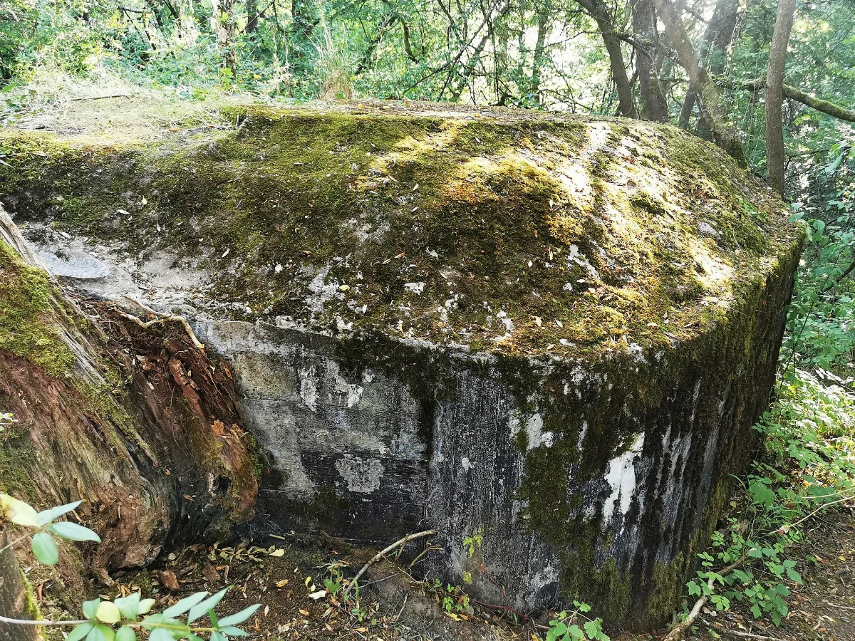 Bunker 123 Bernbach (2)