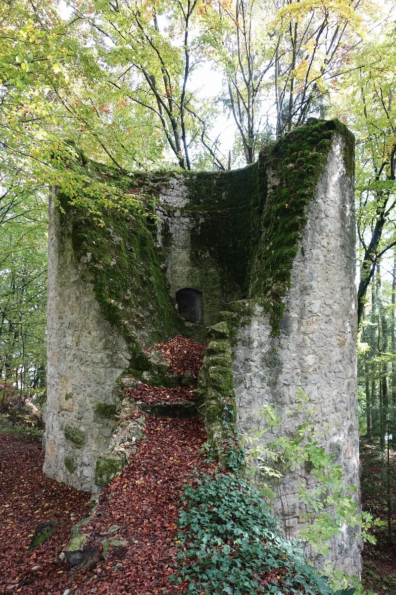 Burg Ehrenfels 010