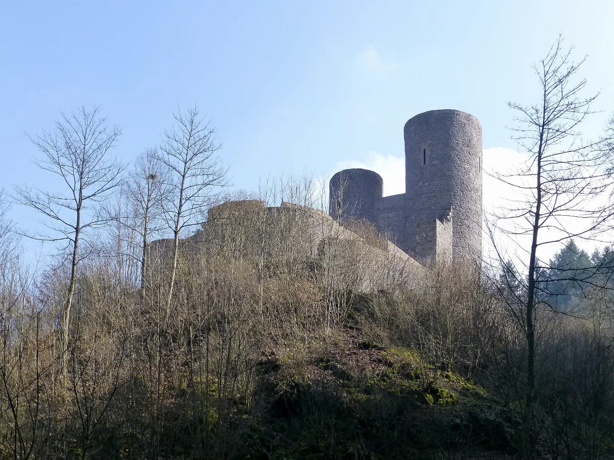 Burg Frauenburg 1