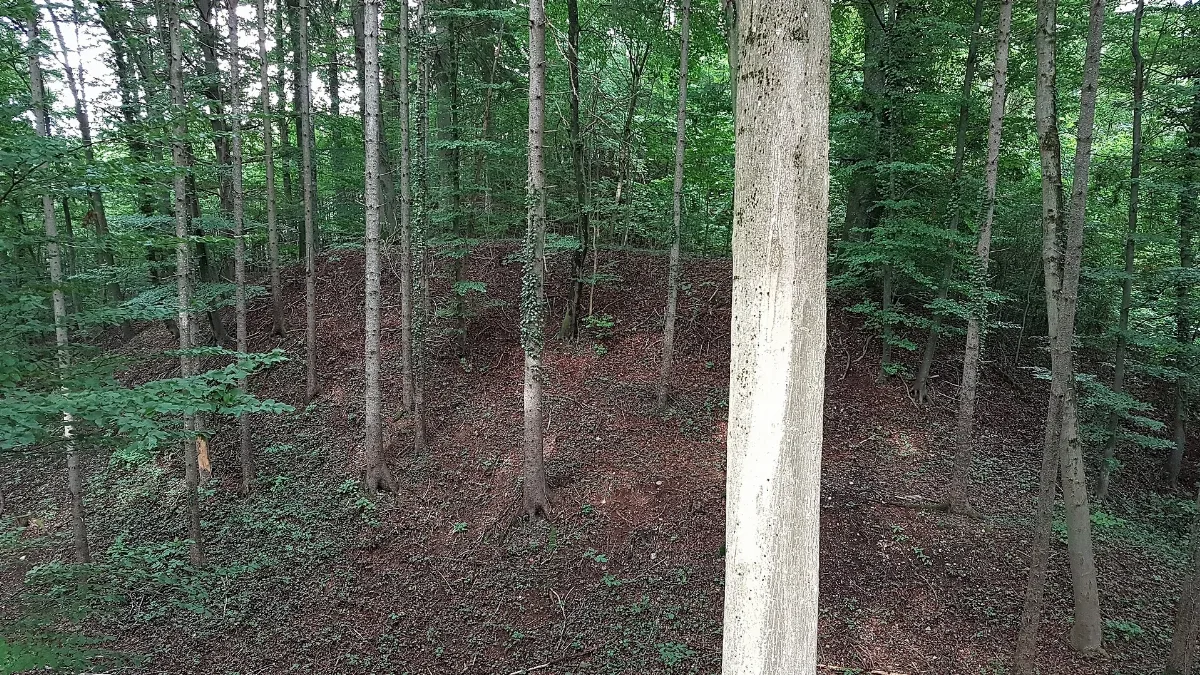 Burg Törring Innerer Burghügel