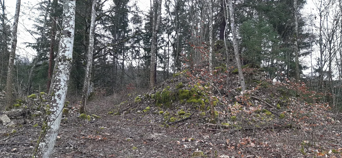 Burgruine Wasserburg Eigeltingen Honstetten Wasserburgerhof 007