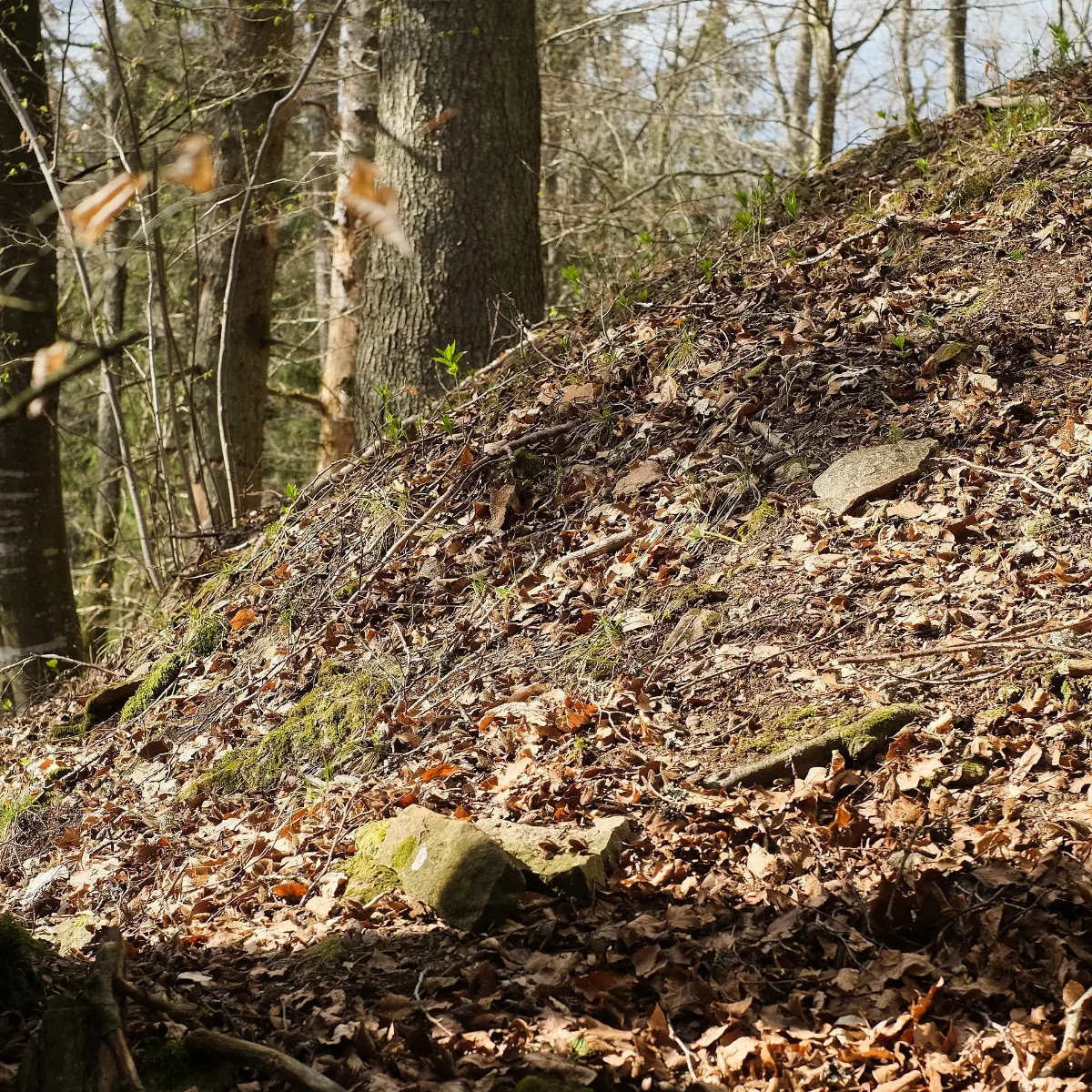 Burgstall Hardteck (Mundelfingen) 2954