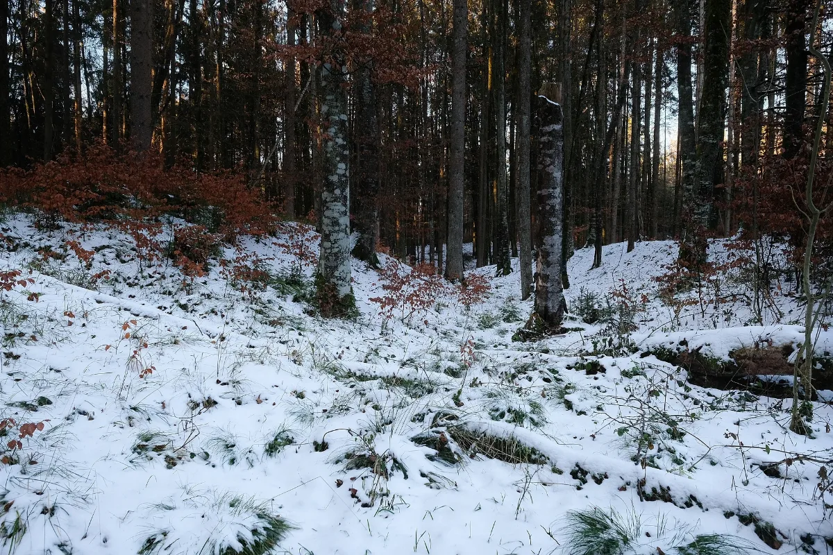 Burgstall Hüribach 4838