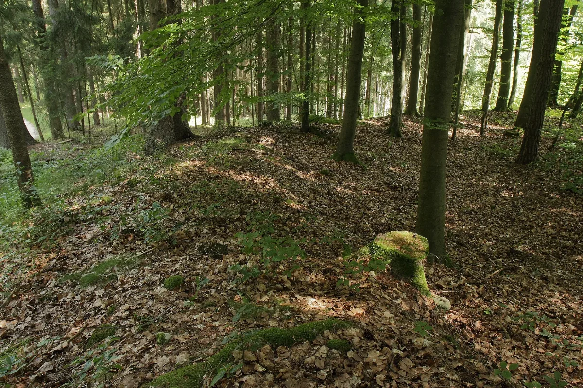 Burgstall Theuern01
