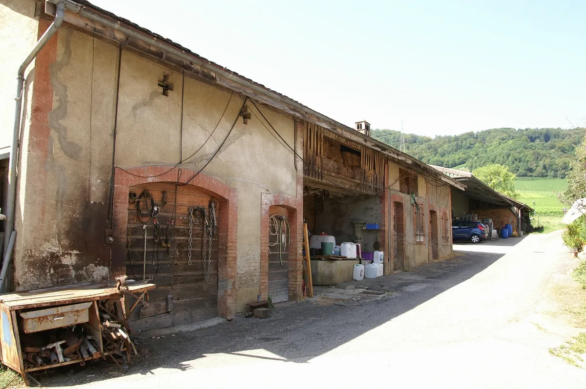 Bursins Tuilerie 01