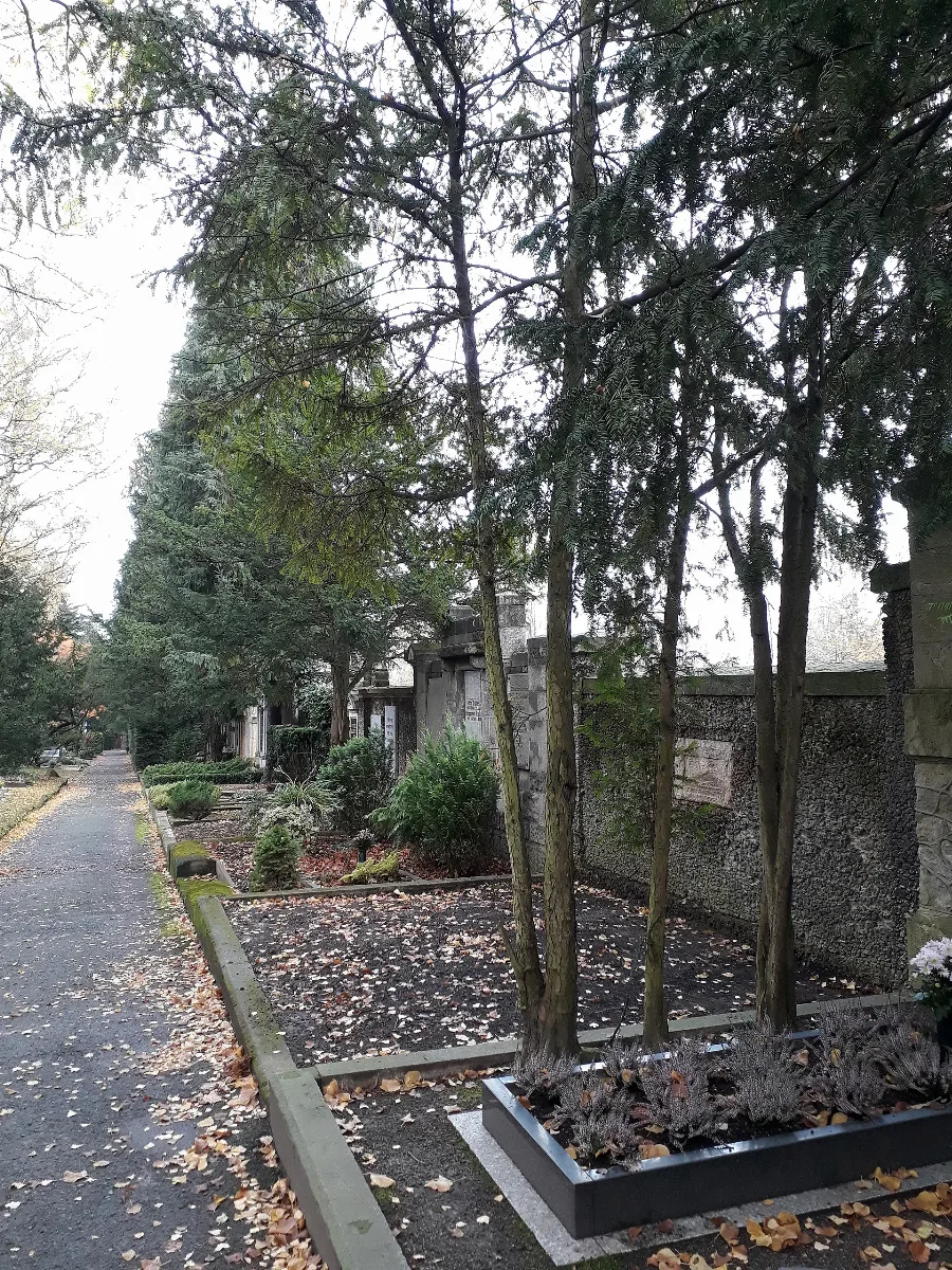 Cemetery Apolda 2