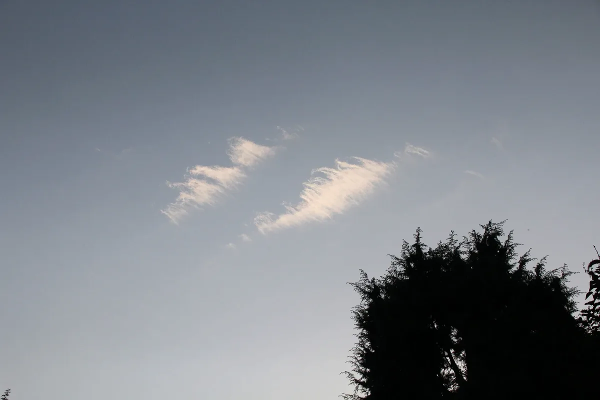 Cirrocumulus Stratiformis Undulatus Lacunosus Ii