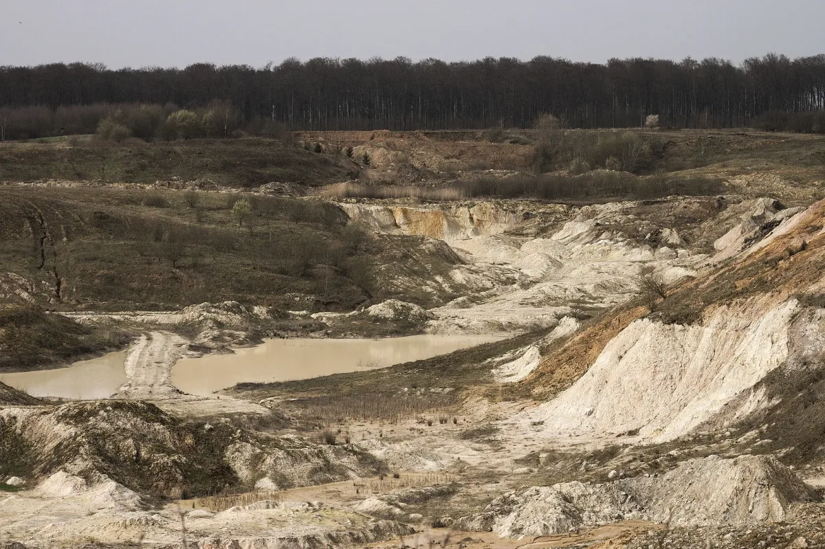 Clay Quarry Ötzingen Close Up