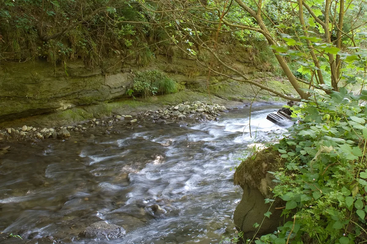 Cours D'eau Gottéron