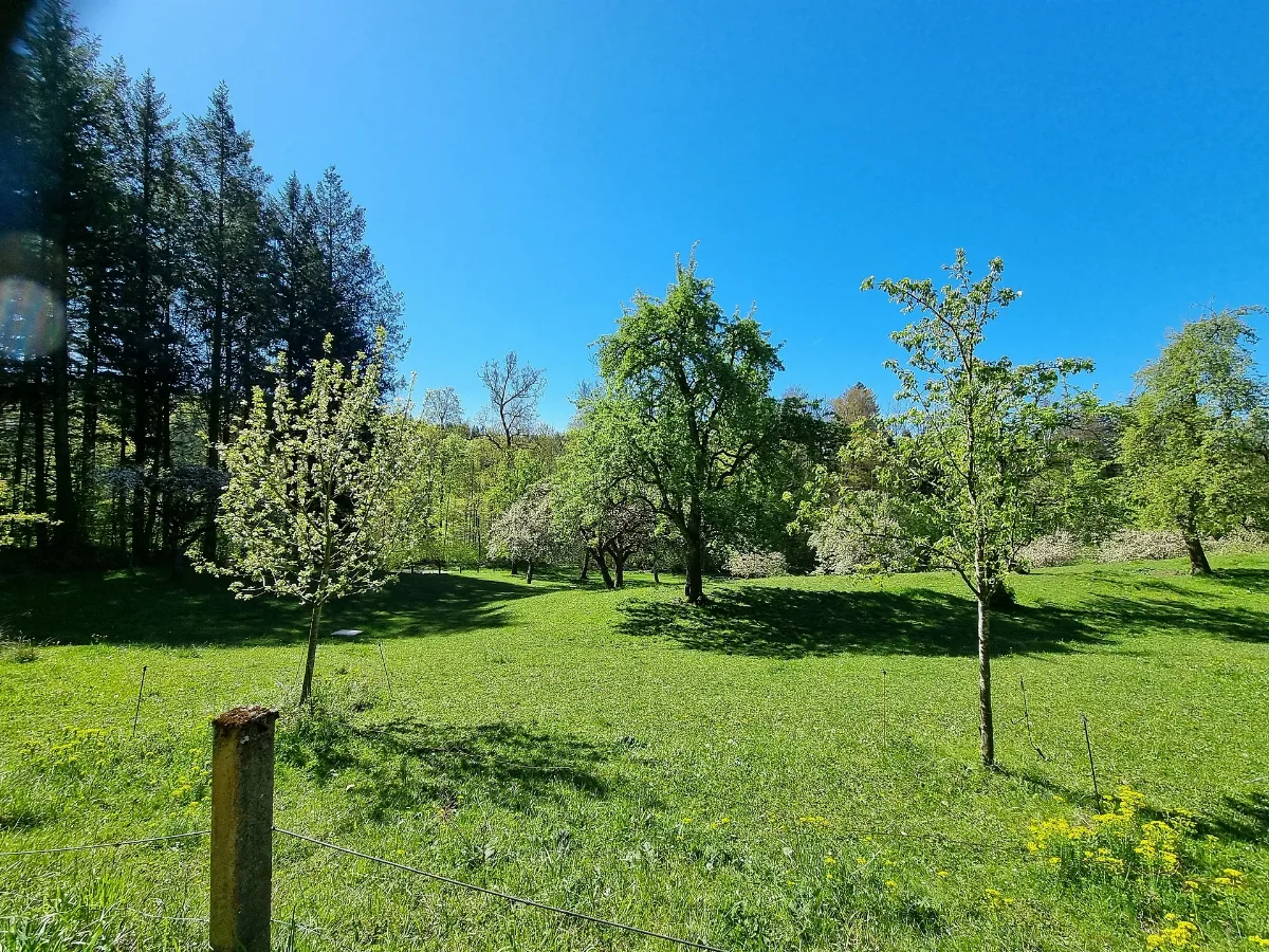 D Bw Kn Hohenfels Burgenweg 13 Beim Hof Knollenkratten