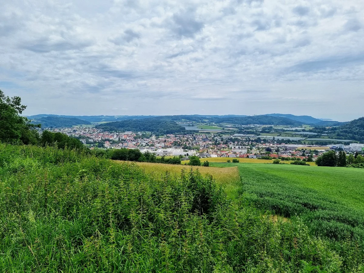 D Bw Kn Sto 'Burgenweg 14' 003