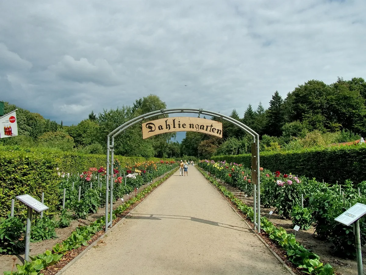 Dahliengarten Hh Altona (1)