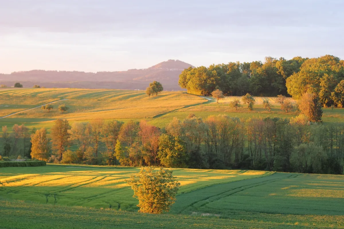 Das Rommental Mit Blick In Richtung Hohenstaufen
