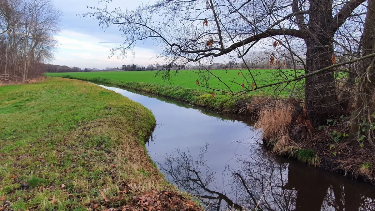 Deichgraben (Ashauser Mühlenbach)