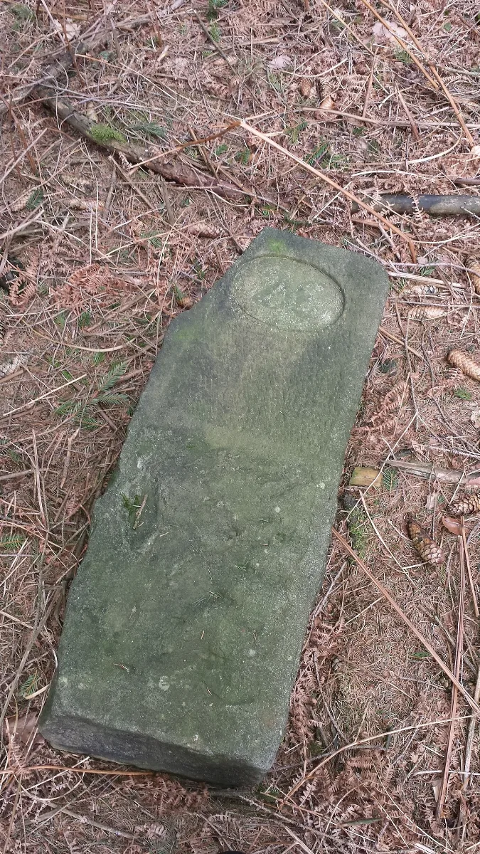 Deister Grenzstein Kammweg 1 2014