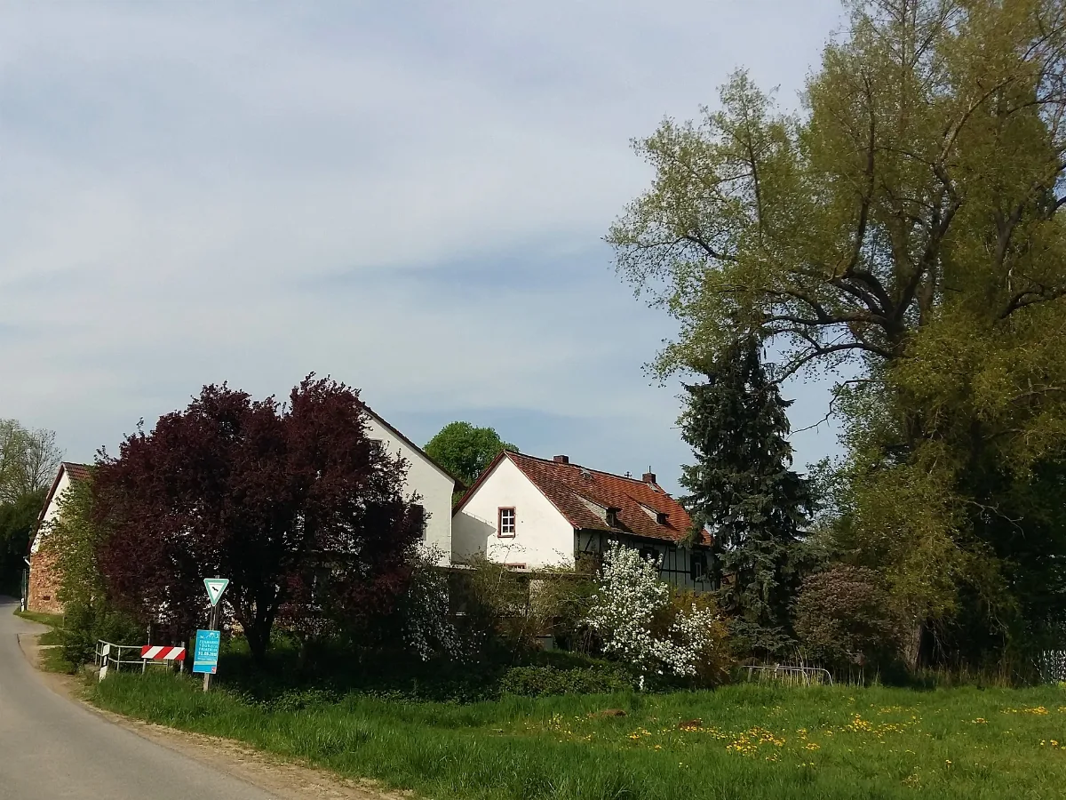 Der Alte Dilshof Mit Dilsbach, Reinheim